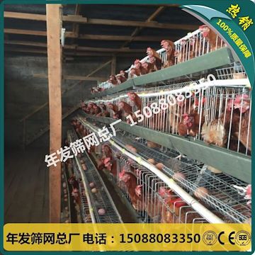 出口尼日利亚蛋鸡笼 养殖镀锌鸡笼 不易生锈鸡笼