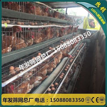 广州筛网厂家生产 三层四层蛋鸡笼 镀锌加粗鸡笼子