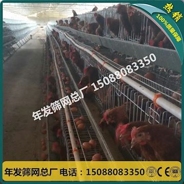国内外养殖场用不易生锈鸡笼 三层阶梯式蛋鸡笼