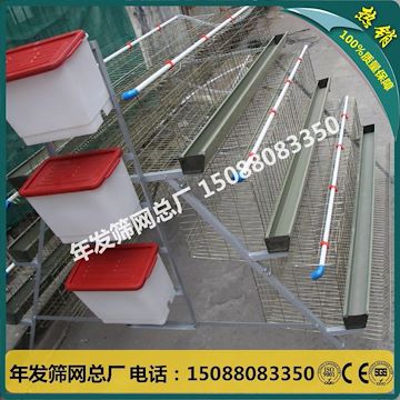 A字型阶梯式蛋鸡笼 铁丝网笼具生产厂家
