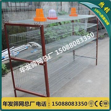 加密加粗三层式养鸡笼 镀锌立体式雏鸡笼